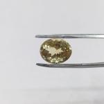 Sunhela 10.23 Carat