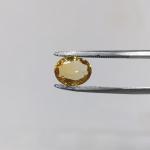 Sunhela 2.93 Carat