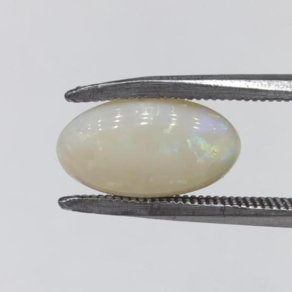 Opal 3.00 Carat