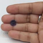 Neeli 2.81 Carat