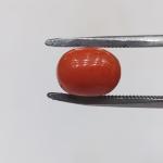 Coral 3.94 Carat