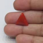 Coral 6.28 Carat