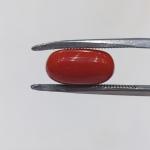 Coral 5.70 Carat
