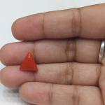 Coral 3.71 Carat