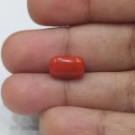 Coral 3.74 Carat