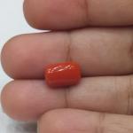 Coral 3.74 Carat