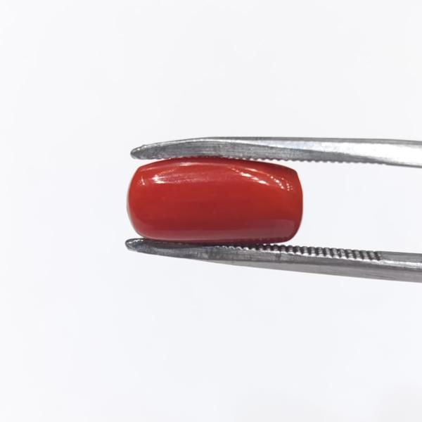 Coral 5.35 Carat