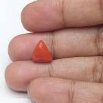 Coral 3.68 Carat