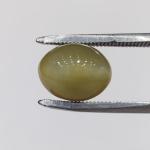 Cat's Eye 7.12 Carat