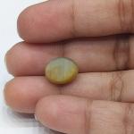 Cat's Eye 7.12 Carat