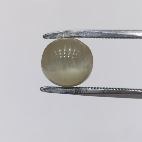 Cat's Eye 6.87 Carat