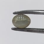 Cat's Eye 3.15 Carat