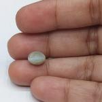 Cat's Eye 3.15 Carat