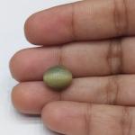 Cat's Eye 5.75 Carat