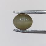 Cat's Eye 4.70 Carat