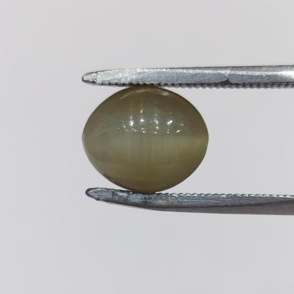 Cat's Eye 4.70 Carat