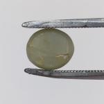Cat's Eye 3.45 Carat