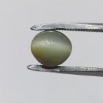 Cat's Eye 3.10 Carat