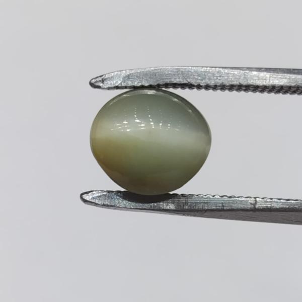 Cat's Eye 3.10 Carat