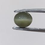 Cat's Eye 2.95 Carat