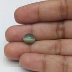 Cat's Eye 2.95 Carat