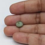 Cat's Eye 2.95 Carat
