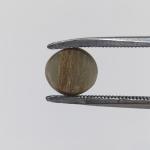 Cat's Eye 3.40 Carat