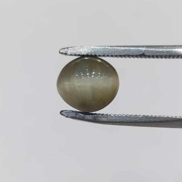 Cat's Eye 3.40 Carat