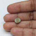 Cat's Eye 3.40 Carat