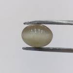Cat's Eye 9.05 Carat