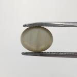 Cat's Eye 8.35 Carat