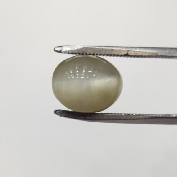 Cat's Eye 8.35 Carat