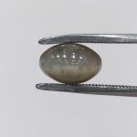 Cat's Eye 4.30 Carat