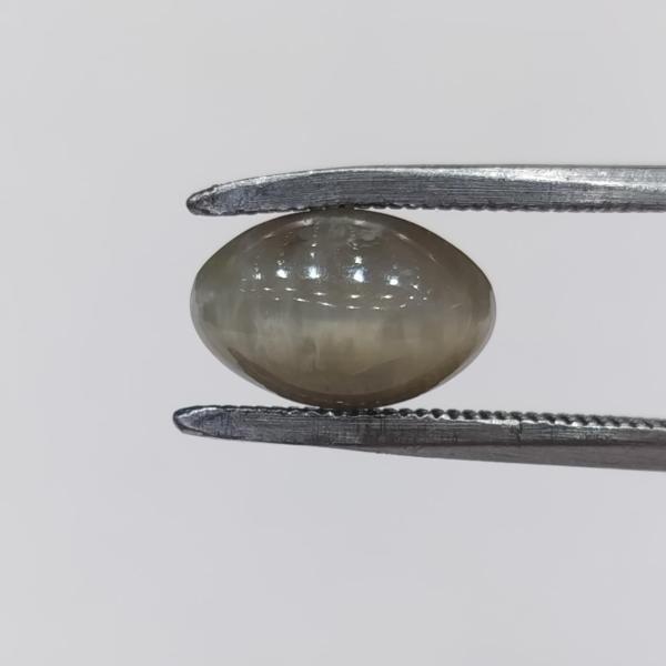 Cat's Eye 4.30 Carat