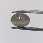 Cat's Eye 4.25 Carat