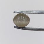 Cat's Eye 3.60 Carat