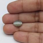 Cat's Eye 3.05 Carat