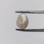 Pearl 5.45 Carat