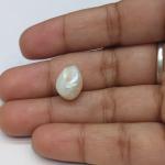 Pearl 5.45 Carat