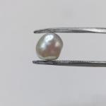 Pearl 4.55 Carat