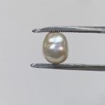 Pearl 4.71 Carat