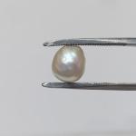 Pearl 4.71 Carat