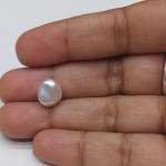 Pearl 3.35 Carat