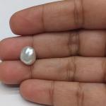 Pearl 3.35 Carat
